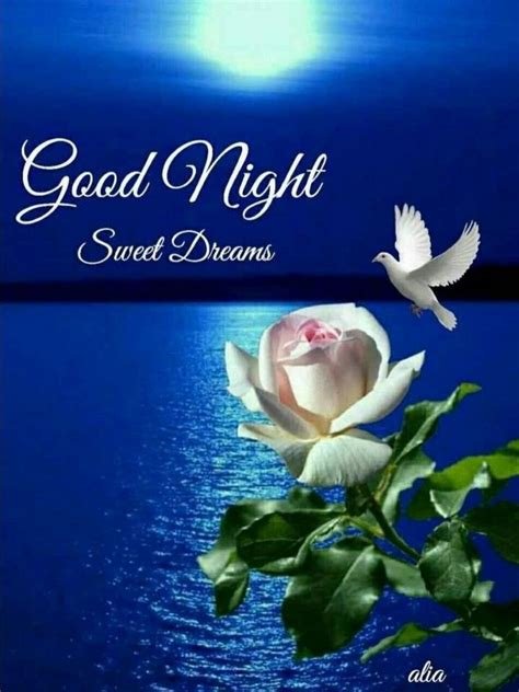 Emre Karaman On Twitter Good Night Sweet Dreams Good Night Flowers