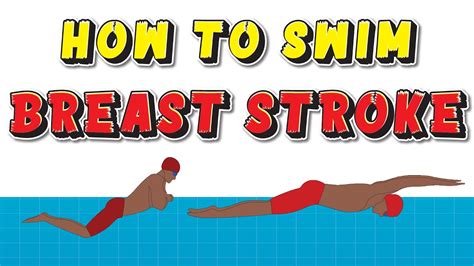 How To Swim Breaststroke Breaststroke Swimming Technique Explained