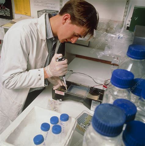 Cancer Researcher Loading Dna Into Gel Stock Image M1330077