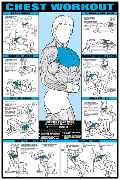 Chest Workout Professional Fitness Gym Instructional Wall Chart Poster