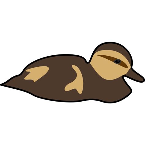 Image Of Duck Swimming Free Svg