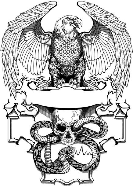 Eagle Snake Tattoo Illustrations Royalty Free Vector Graphics And Clip