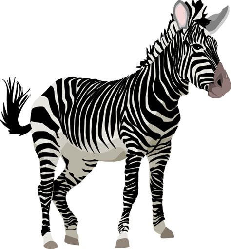 Cute Baby Zebra Zebra Cartoon Pictures Clip Art