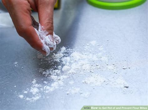 Maybe you would like to learn more about one of these? Flour Mites In Bedroom | online information