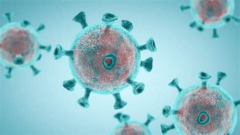 Coronavirus todo el SARS CoV 2 que hay en el mundo podría caber en una