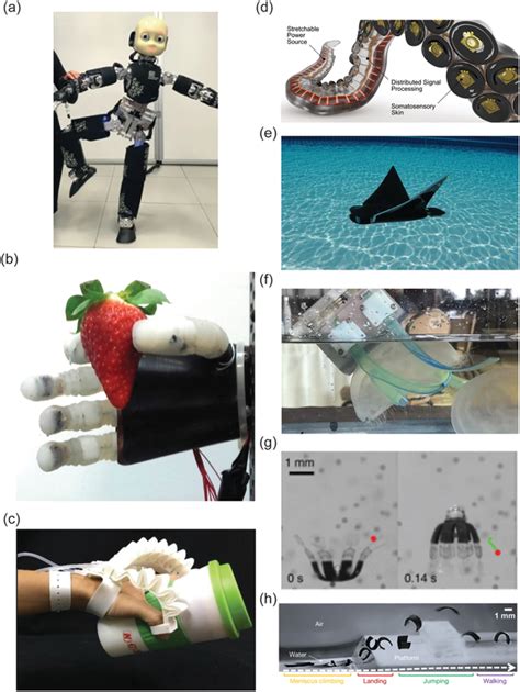 Smart Biomimetic Robots That Interact With Living Organisms A