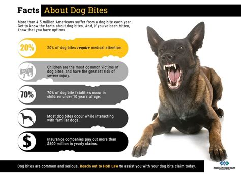 Tips For Dog Bite Prevention By Hadfield Stieben And Doutt