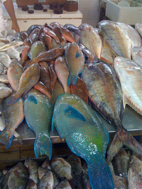 Sushi and sausages were vying for our attention when we were distracted by the craft brew, local wine and full bar. SeaWeb In Action: Early Morning Doha Fish Market Visit