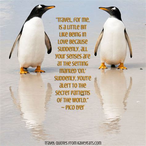 Penguin love quotes penguin pictures love you so much my love love conquers all tomorrow is another day lessons learned in life life lessons finding true love instagram post by d breeze 😻 • mar 18, 2015 at 4:24pm utc #Inspire #penguin #Antarctica #LOVE | Inspirational quotes ...