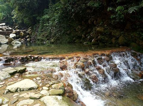 Check spelling or type a new query. Lembah Tepus; Pesona Wisata Alam di Selatan Bogor - Blog ...