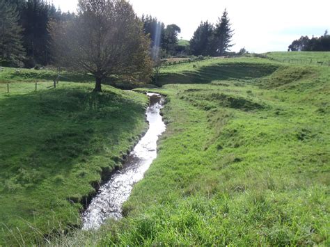 An aid to assist in purifying the blood stream, same type formula as used by hoxey for years snh p.527. The Uretara Estuary Managers are crowdfunding to plant ...