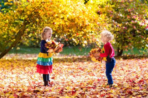 Kids Play In Autumn Park Children In Fall Stock Image Image Of
