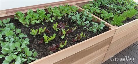 A raised garden bed (or simply raised bed) is a freestanding box or frame—traditionally with no bottom or top—that sits aboveground in a. How to Build Raised Beds for Your Vegetable Garden