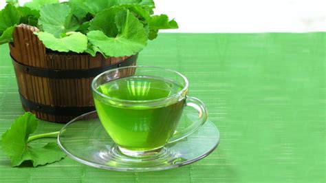 How to find joy in healthy eating. Buy Gotu Kola Tea: Benefits, How to Make, Side Effects ...