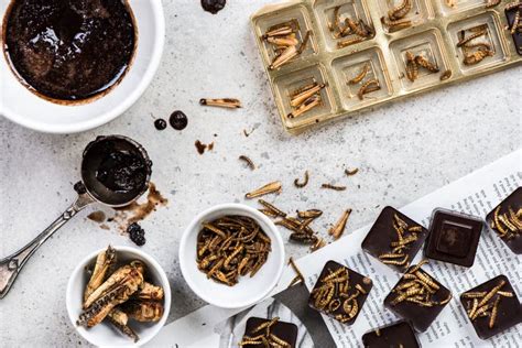 Making Chocolate With Edible Insects Stock Image Image Of Grilled