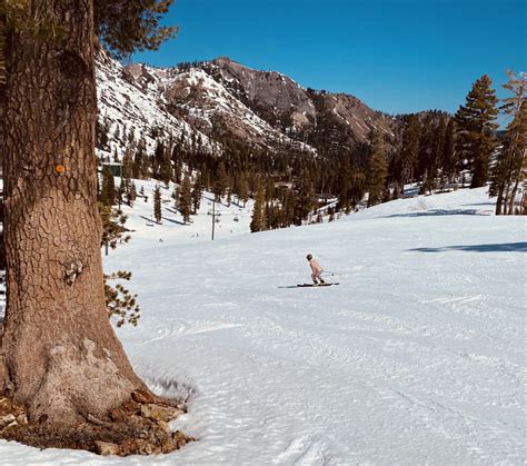 Alpine Meadows Ca Report Spring Skiing And Riding At Its Finest