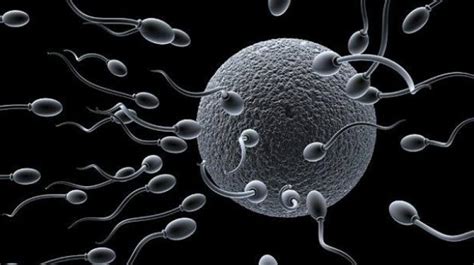 Now Human Skin Cells Can Be Turned Into Sperm