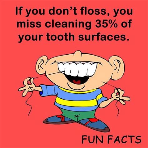 Floss Floss Floss Humor Dental Dental Hygiene School Dental Clinic