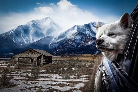 Best of 2020: 22 Award-Winning Nature Photographs