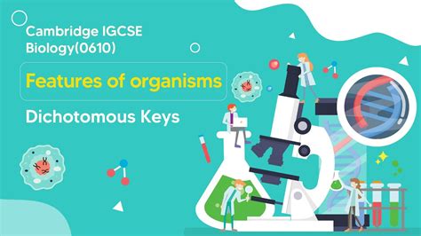 Mastering Dichotomous Keys In Igcse Biology Everything You Need To