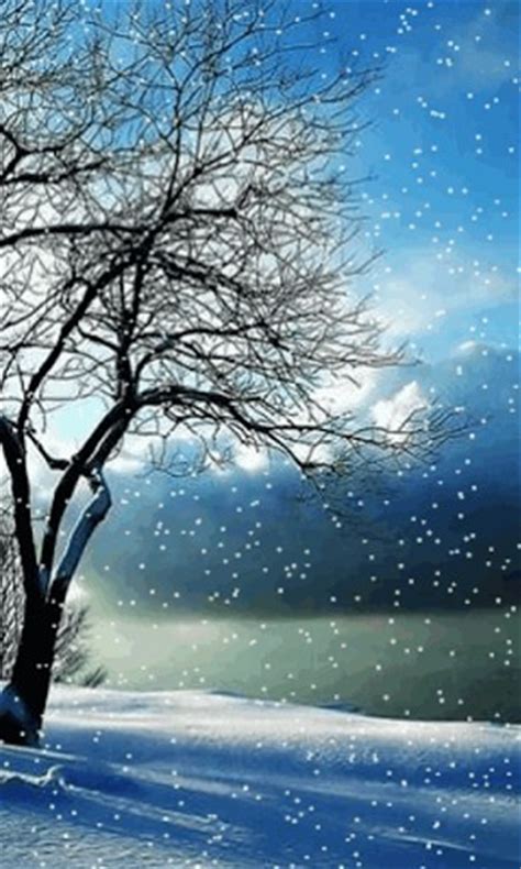 Feel free to download, share, comment and discuss every wallpaper you like. Live Falling Snow Desktop Wallpaper - WallpaperSafari