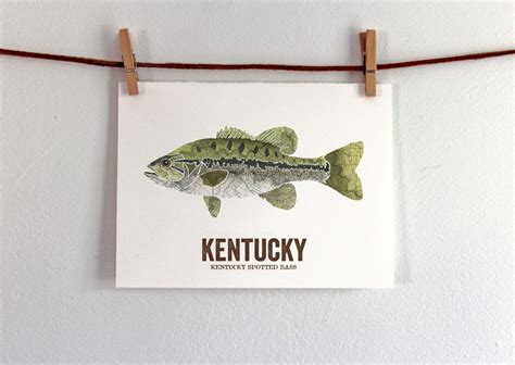 Kentucky State Fish Map Art Nature Outdoor Art Vintage Map Etsy