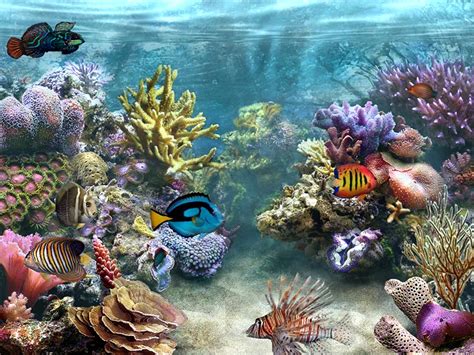3d Animated Aquarium Wallpaper Wallpapersafari