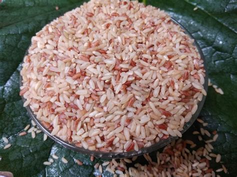 Rajamudi Red Rice At Rs 65kg Red Rice In Bengaluru Id 22576966388