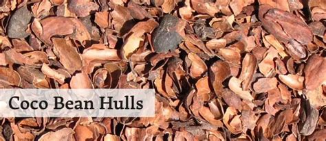 12 Types Of Mulch That You Can Use In Your Garden