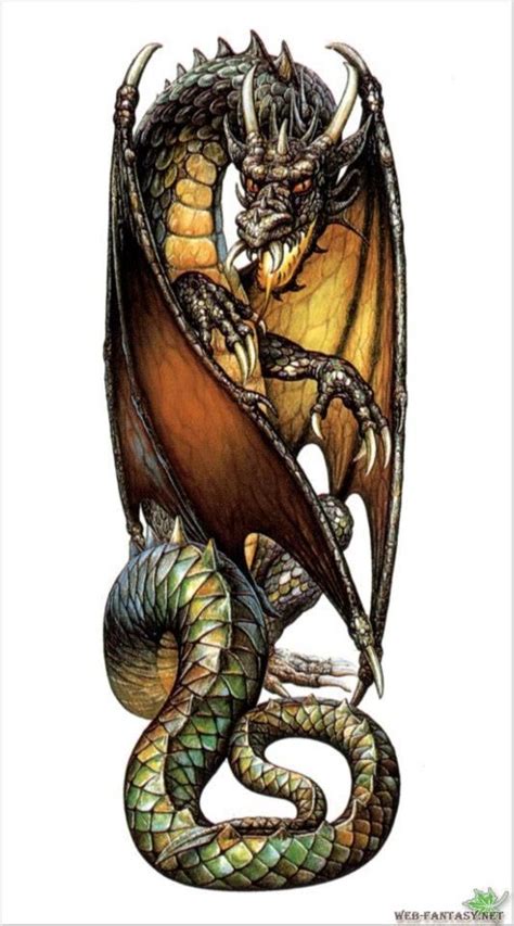 Western Dragons Fantasy Dragon Medieval Dragon Dragon Artwork