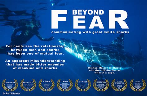 Beyond Fear Communicating With Great White Sharks Documentary