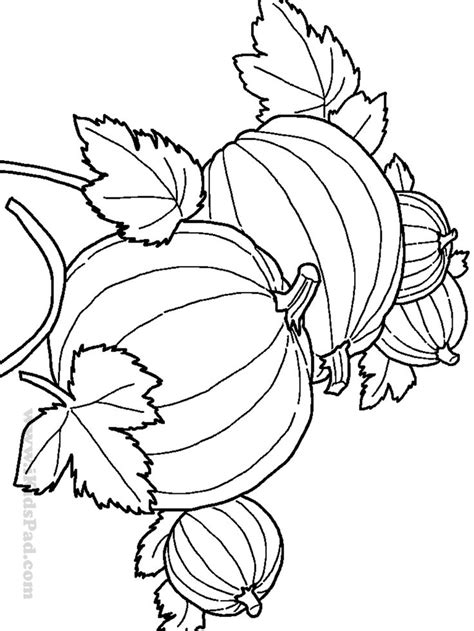 Enjoy these coloring pages, an extension of fall activities and crafts suitable for toddlers, preschool and kindergarten. 17 Best images about AUTUMN DRAW on Pinterest | Coloring ...