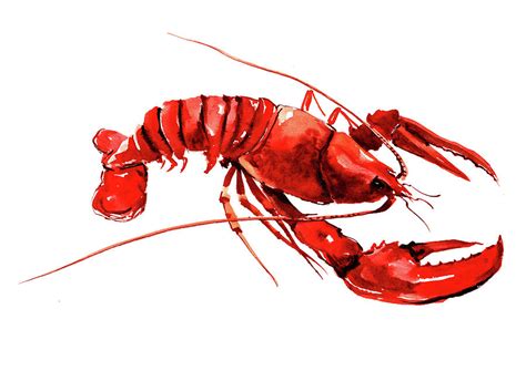 Lobster Painting By Suren Nersisyan