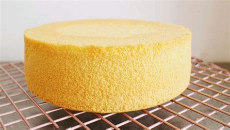 Vanilla Sponge Cake Ingrecipe