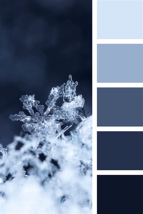 Colores del invierno Colores de invierno Colores Colores fríos