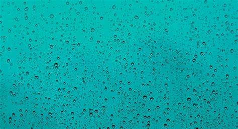 How To Damp Proof Your Walls | Property Road