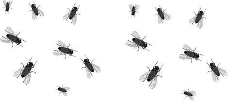 Fly Clip Art Vector Images And Illustrations Clipart Best Clipart Best