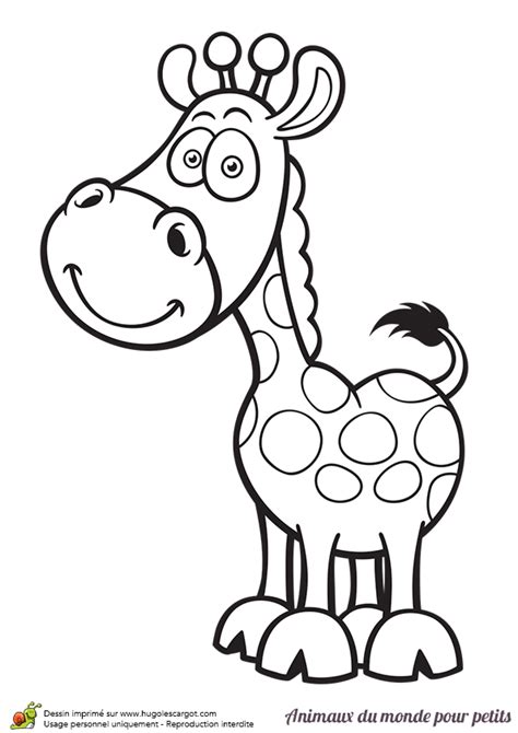 Coloriage Dune Girafe