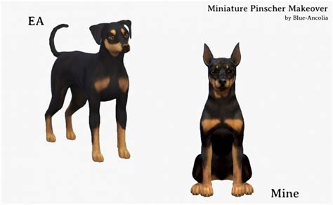 Miniature Pinscher Makeover At Blue Ancolia Sims 4 Updates