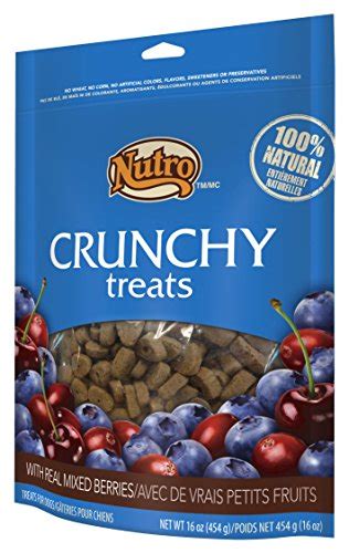 Nutro Crunchy Treats With Real Mixed Berries 16 Oz 454 G Animals