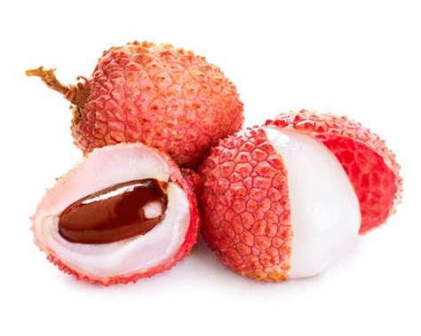 All of these lychee tree background resources are for free download on pngtree. lychee | fruit | Britannica.com