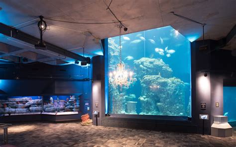 South Carolina Aquarium Kappa Epsilon