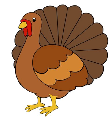 C Mo Dibujar Un Pavo Real Turkey Drawing Thanksgiving Drawings