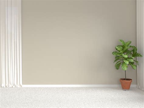 What Color Carpet Goes With Beige Walls 8 Combinations For Harmony In