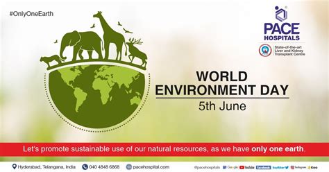 World Environment Day June Theme And Importance