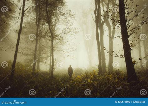 Man In Mysterious Autumn Forest With Fog Stock Photo Image Of Fall