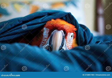 Macaw Sleeping On The Bed Close Up Selective Focus Stock Illustration
