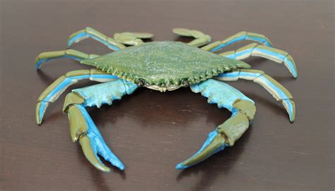 Blue Crab Incredible Creatures By Safari Ltd Animal Toy Blog