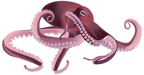 Clipart Octopus Squid Clipart Octopus Squid Transparent Free For