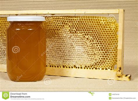 Waxed Honeycomb With Honey Stock Photo Image Of Biology 44070418
